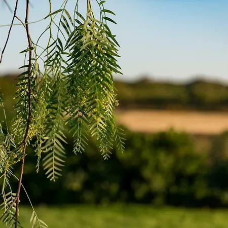 Casale Farm stay *