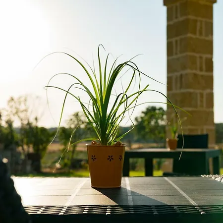 Casale Farm stay Cerfignano