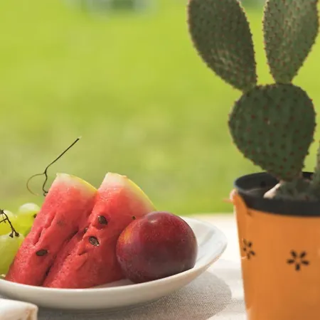 ファームステイ Casale Cerfignano