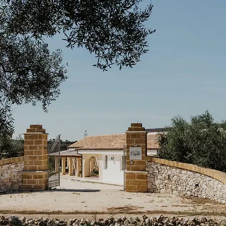 Casale *
